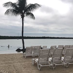 Meet your Posher, Monique